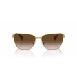 Ladies  Sunglasses Ralph Lauren RA 4143 Sale